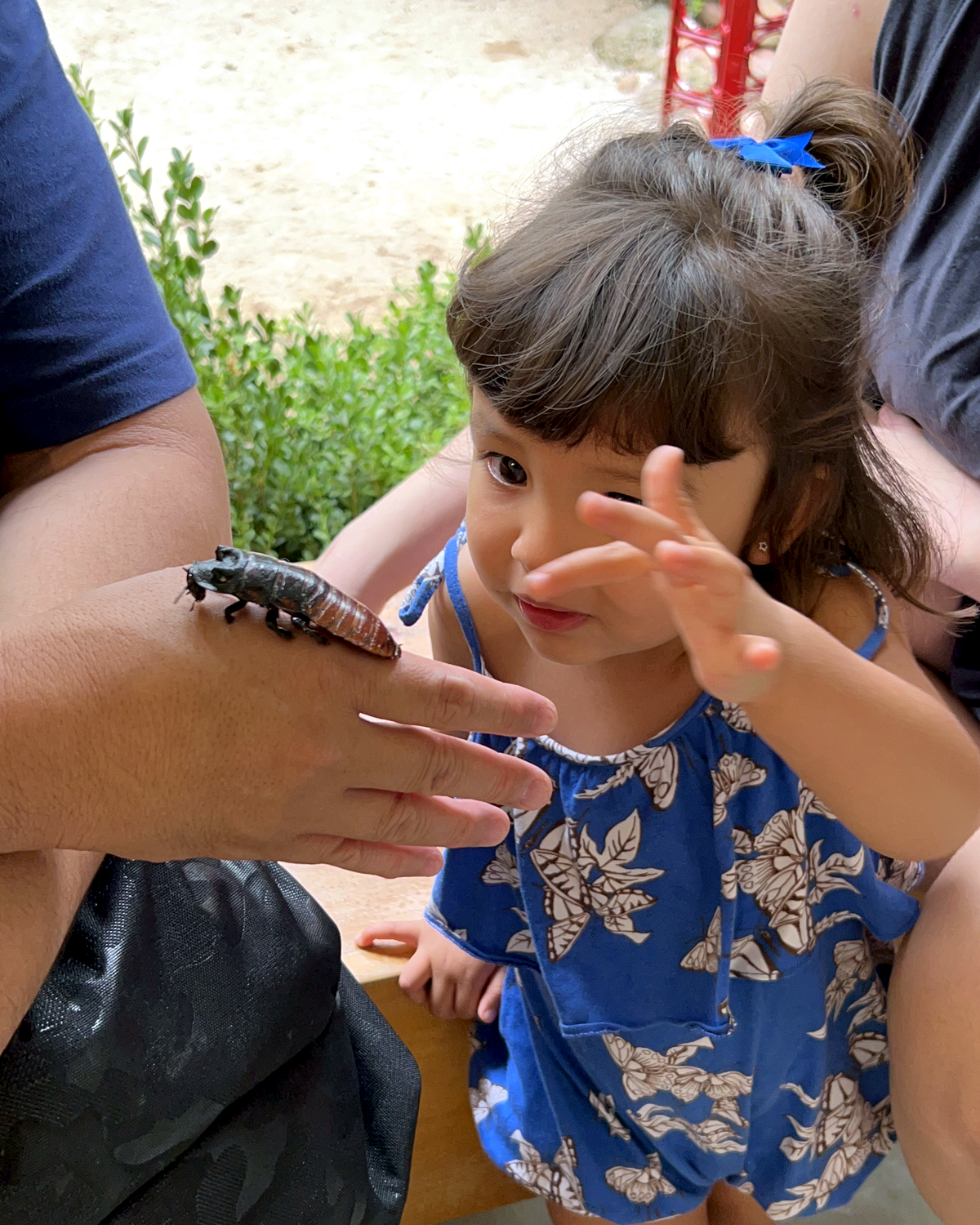 Criança em acompanhamento educativo com animal na ZooFoz